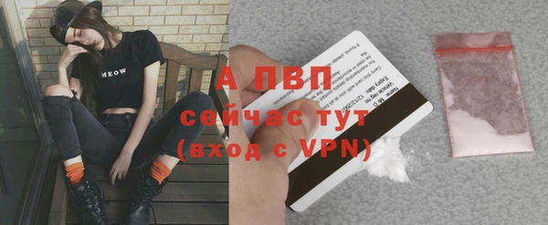 a pvp Аркадак