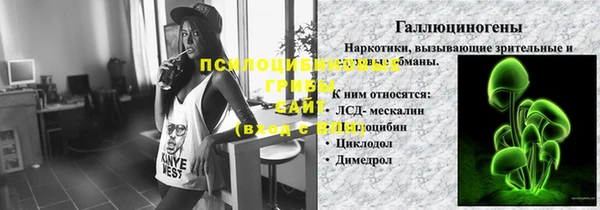 a pvp Аркадак