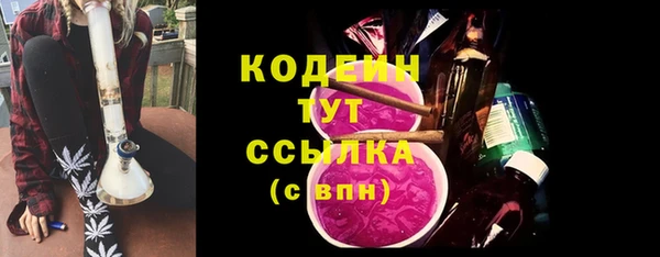 apvp Рославль