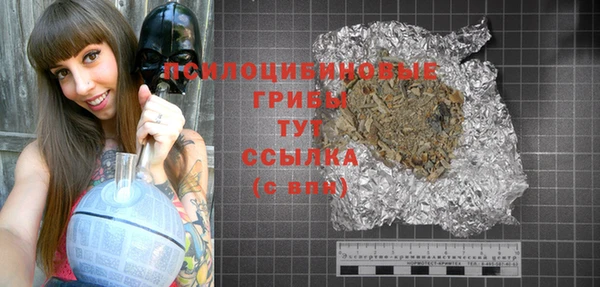 твердый Арсеньев