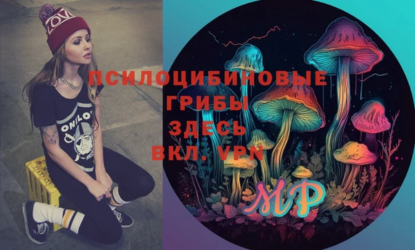 твердый Арсеньев