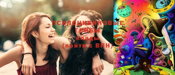 хмурый Алексин