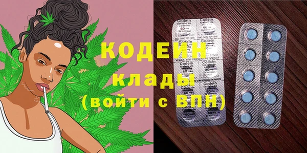 хмурый Алексин