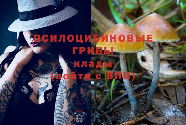 твердый Арсеньев