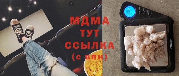 хмурый Алексин
