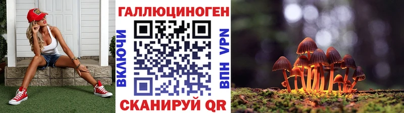 Псилоцибиновые грибы Cubensis Жигулёвск